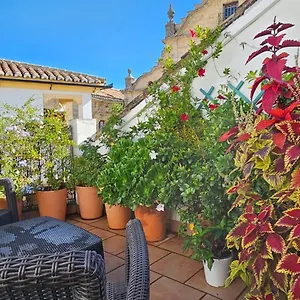 Los Descalzos Angel With Private Terrace Free Parking Ronda